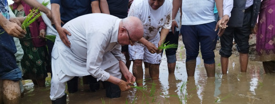 चितवनमा एमाले अध्यक्ष ओलीले रोपे धान
